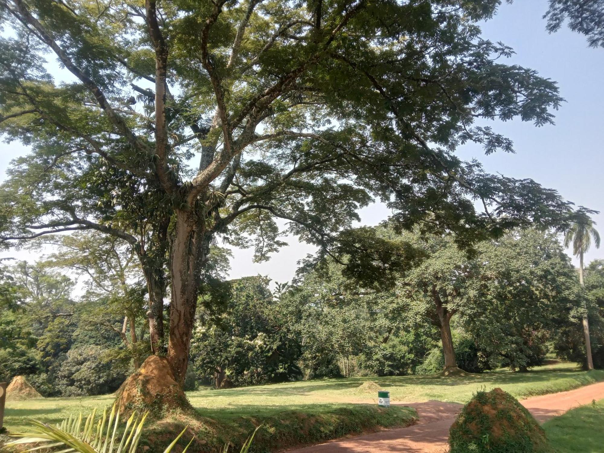 Mowicribs Hotel&Spa Entebbe Pokój zdjęcie